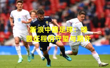 新浪中国足球：绿茵征程的守望与期许